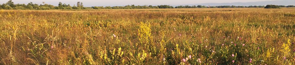 energenta ersatzbrennstoffe GmbH